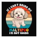 Suche nach maltipoo poster Maltipos