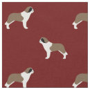 Recherche de chien de bernard Saint