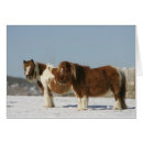 Suche nach miniaturpferde postkarten Schnee