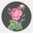 Suche nach rosenblüten aufkleber Blumen
