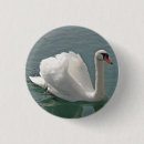 Suche nach schwan buttons Tiere