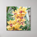 Suche nach orchid leinwandbilder Drucken