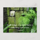 Suche nach aristoteles postkarten Aristotle