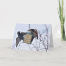 Suche nach spechte karten Flicker