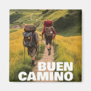 Suche nach camino de santiago magnete Spinnen