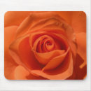 Suche nach orange ros mousepads Foto