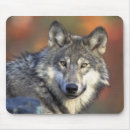 Suche nach wolf grau mousepads Natur
