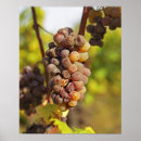 Recherche de vegetation posters Agriculture