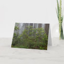 Suche nach redwood karten California