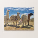 Recherche de llama puzzles Pérou