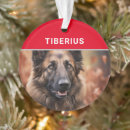 Recherche de races belges Pour animaux