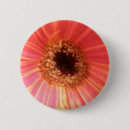 Suche nach gerbera buttons Griechen