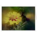 Suche nach hobbys postkarten Blume