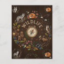 Recherche de illustration renard cartes postales Nature