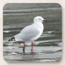Recherche de oiseaux marins dessous de verres Plage