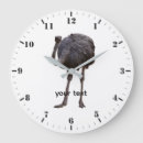 Recherche de autruche horloges Faune