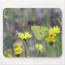 Suche nach gelber schmetterling mousepads Makro