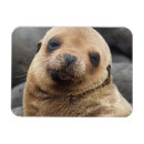 Recherche de l equateur magnets Personne