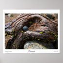 Suche nach natürliches muster poster Struktur