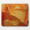 Recherche de faune et flore tapis souris Rose