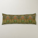 Recherche de plumes paon coussins Nature