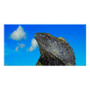 Suche nach lizard poster Exotisch
