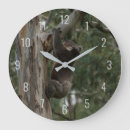 Recherche de koalas horloges Australie