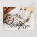 Recherche de petit chat cartes postales Pour tous