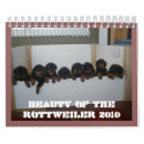 Suche nach welpen kalender Haustiere