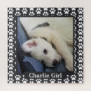 Recherche de tableau noir puzzles Chien