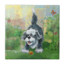 Recherche de chien moutons carreaux Animaux