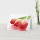 Suche nach rote tulpen karten Blumen