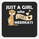 Suche nach mekka aufkleber Meerkat