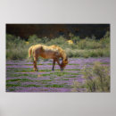 Recherche de ouest sauvage posters Peinture murale