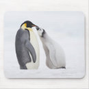 Suche nach kaiser pinguine mousepads Wild lebende tiere
