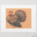 Suche nach erntedank flyer Truthahn