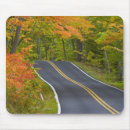 Suche nach ahornbaum mousepads Wald