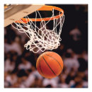 Suche nach basketballkorb poster Basketballspieler