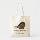 Recherche de mammifères sacs Animaux
