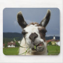 Suche nach cool mousepads Humorvoll