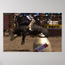 Recherche de rider posters Bull