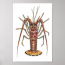 Recherche de plongée sous marine posters Océan