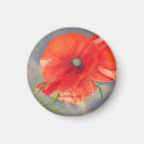 Suche nach mohnblume zum zu sein magnete Orange