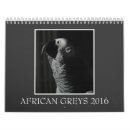 Recherche de perroquet calendriers Gris
