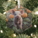 Recherche de heureux ornements Animal