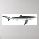 Recherche de shark posters Great white