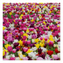 Suche nach felder poster Natur