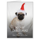 Recherche de santa photographie Animal