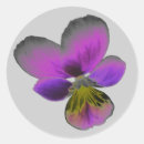 Suche nach wilde pflanze aufkleber Blumenreich