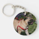 Recherche de harnais porteclés Carlin